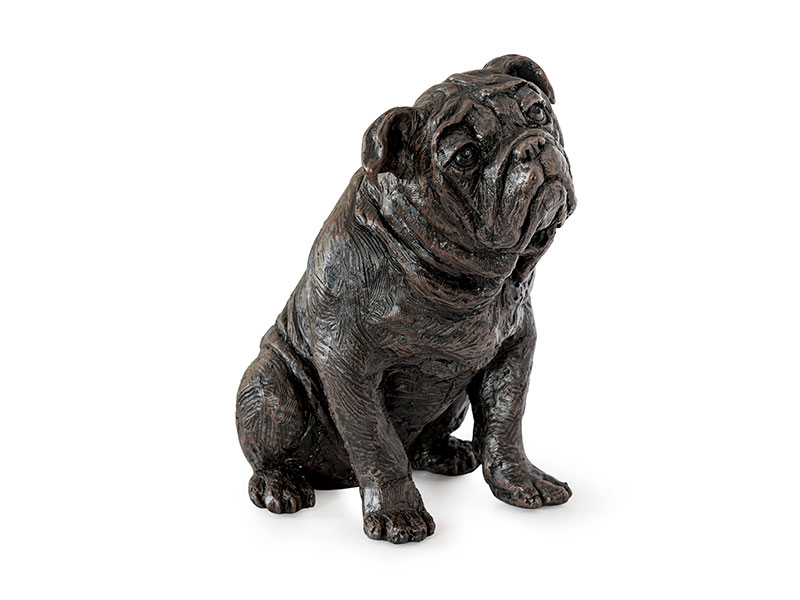 Bulldog - £100