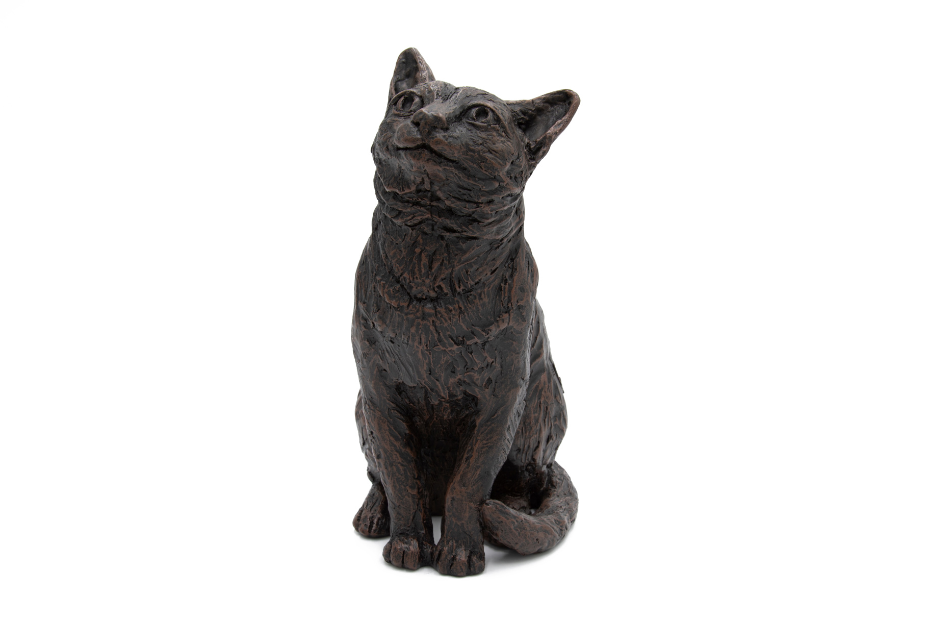 Sitting Cat - £70
