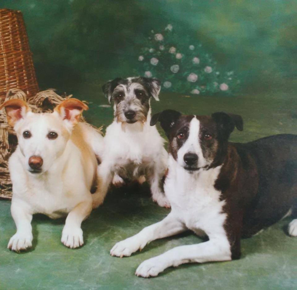 Ben, Pip and Shan